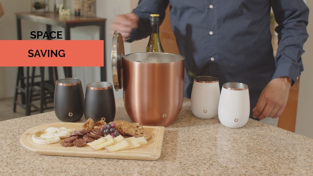 Amazon.com: Snowfox Plus, Premium Vacuum Insulated Stainless Steel